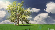 DigitalTutors-创建真实树木（Modeling Realistic Trees with SpeedTree）