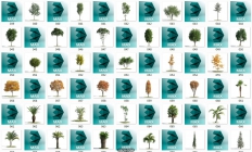 建筑实用好看的100个树种