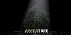 Cmivfx_SpeedTree入门教学（SpeedTree Introduction）